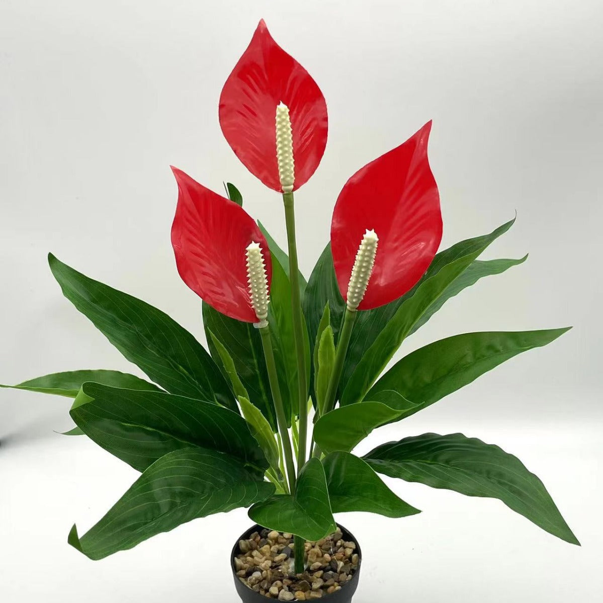 481e184c9f8c431b08f102786ea44d8e