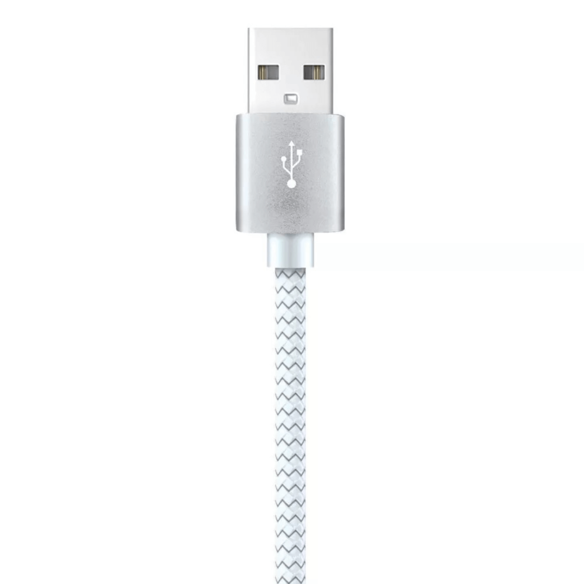 Xyst Charge and Sync USB to USB-C Braided Cable 10Ft Jupiter Gear Home