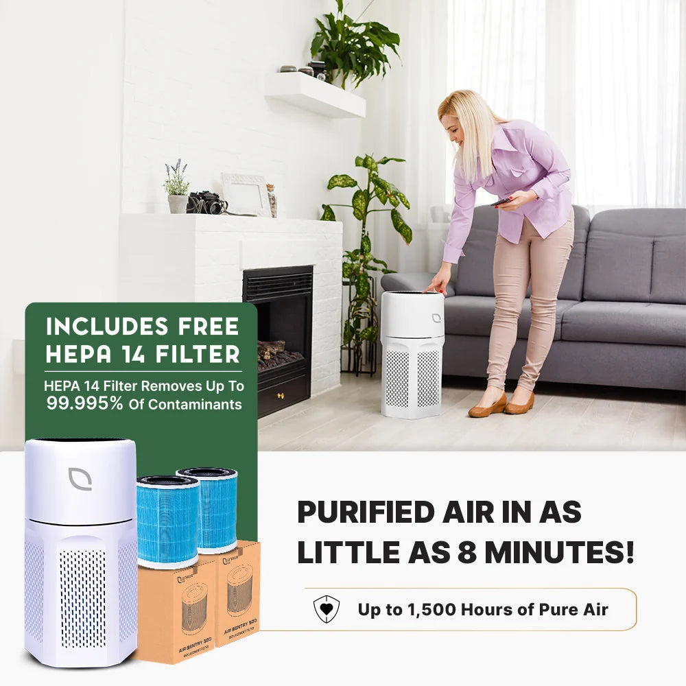 Air Sentry 500 Emerge Survival