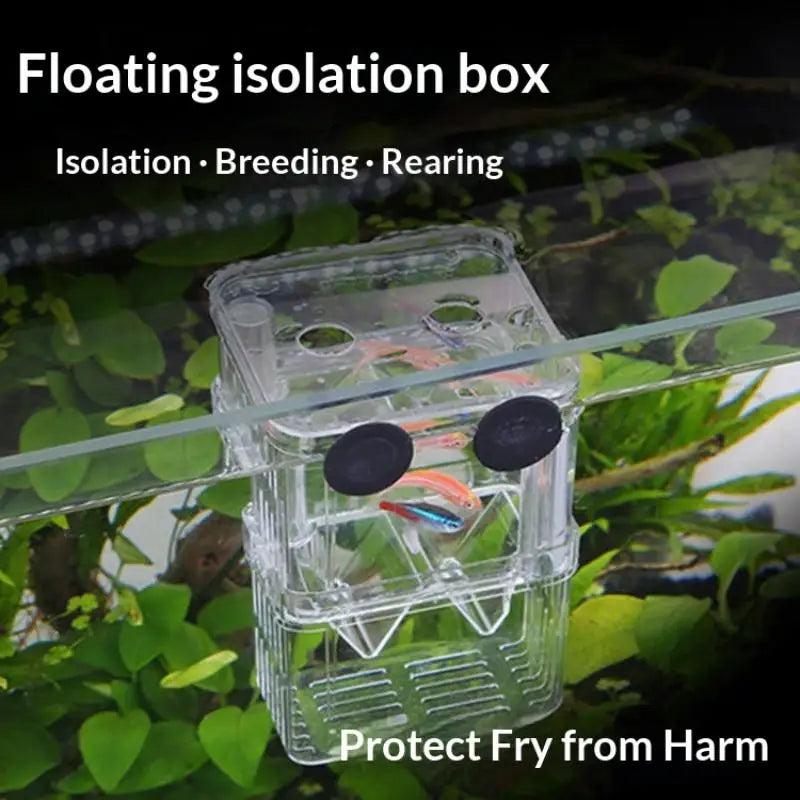 Acrylic isolation box, fish tank incubator, aquaculture box, aquarium supplies, peacock fish aquaculture box, aquarium Taj Home Store