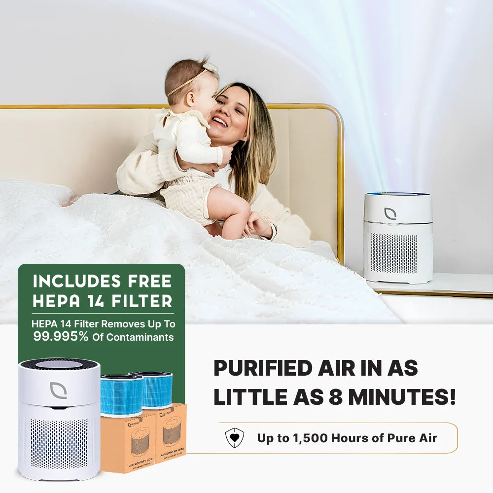 Air Sentry 300 Emerge Survival