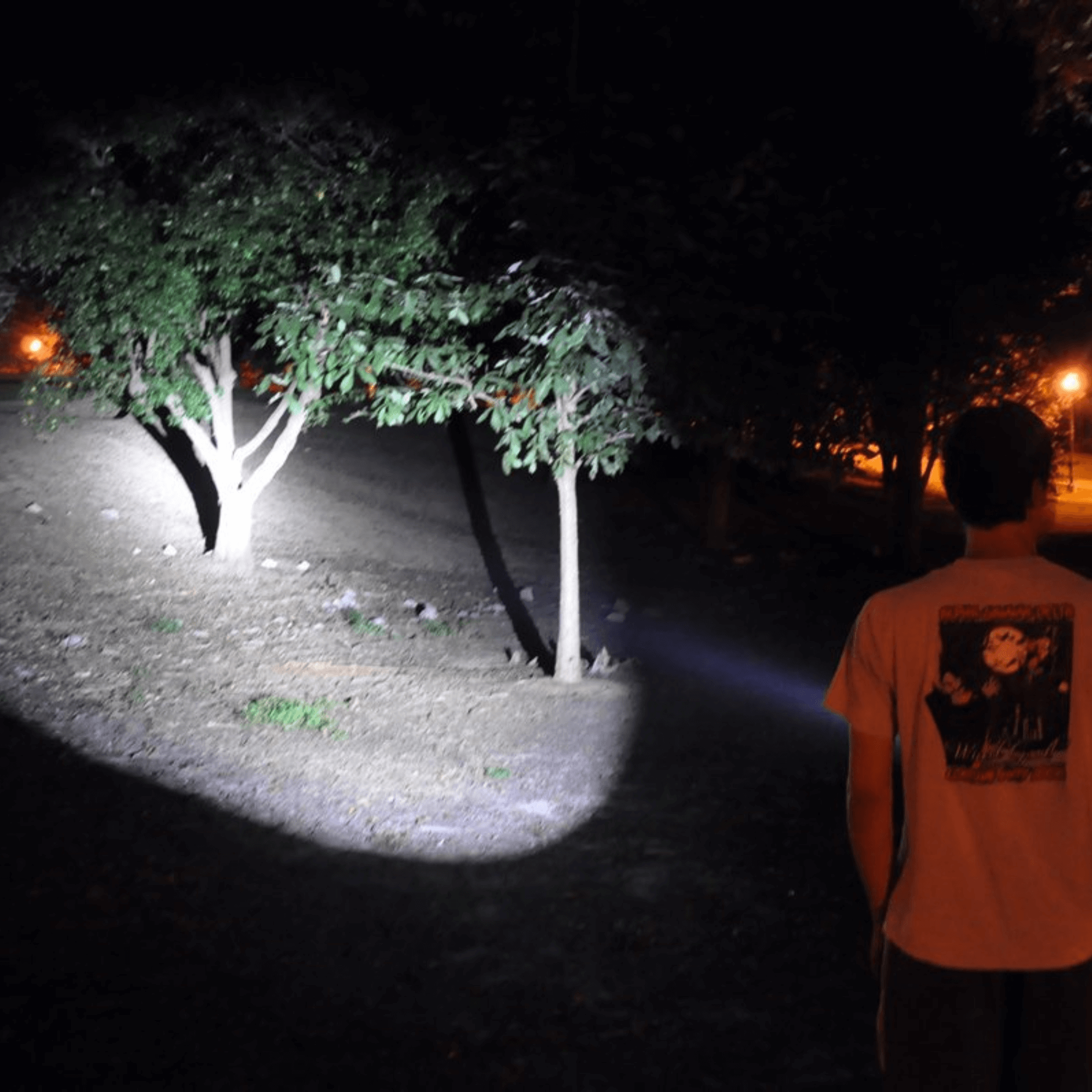 Solaray ZX-1 AAA Battery LED Flashlight 2-Pack Jupiter Gear Home