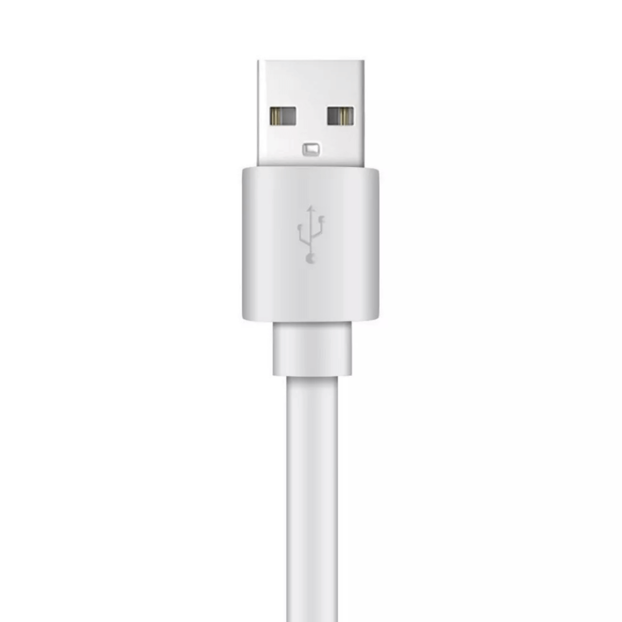 Xyst Charge and Sync USB to Lightning Flat Cable 4Ft Jupiter Gear Home