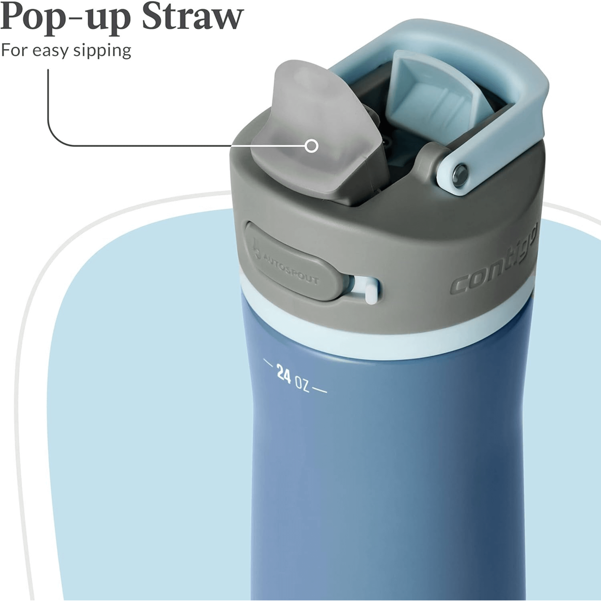Contigo Wells Chill Stainless Steel 24oz Water Bottle with Autospout Straw Lid and Filter Jupiter Gear Home