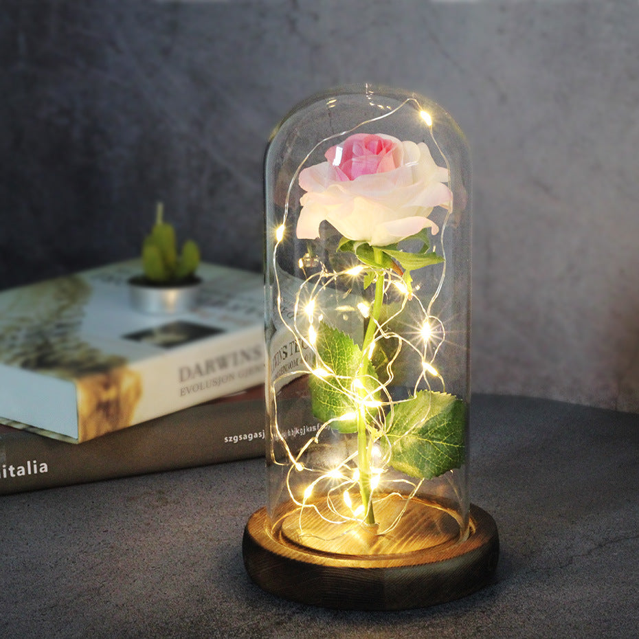 3170b5d00465b45e6460703ede892053