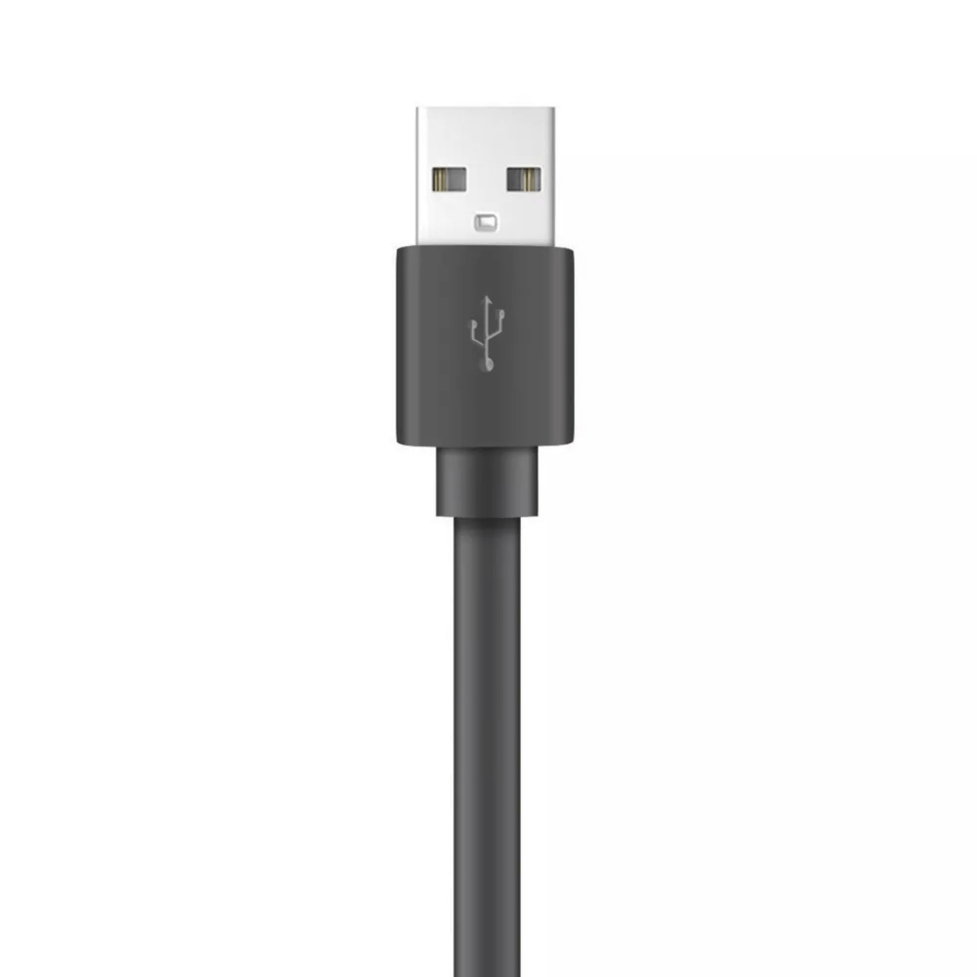 Xyst Charge and Sync USB to USB-C Flat Cable 4Ft Jupiter Gear Home