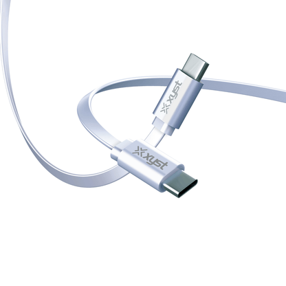 Xyst Flat USB-C to USB-C Charge and Sync Cable 4Ft Jupiter Gear Home