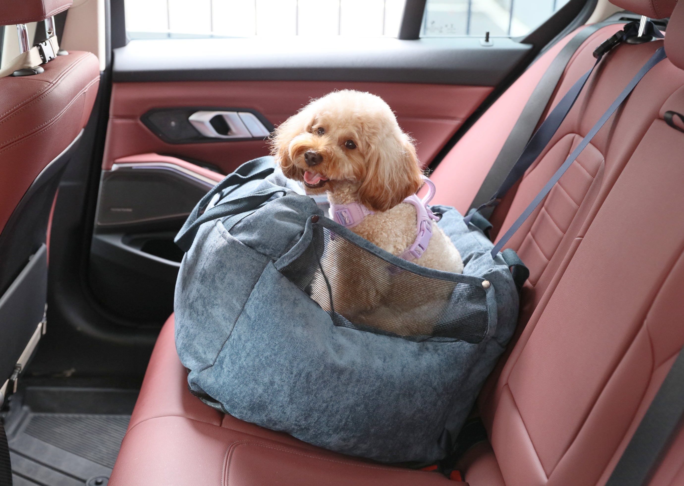 Puff Guard Dog Car Seat - Blue DC-PEHOM