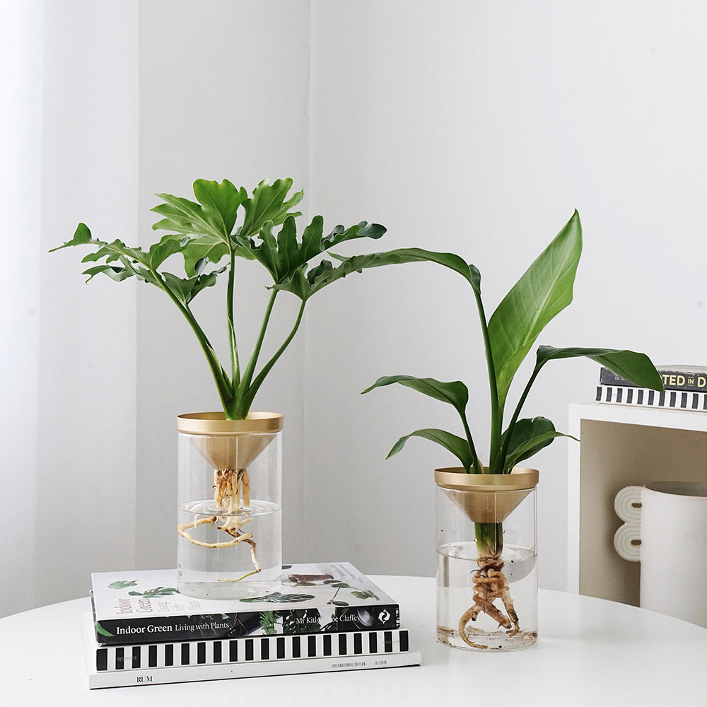 d69b21fbb646bdd06005da4cd764c38c