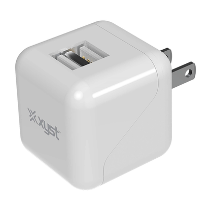 Xyst 2.4-Amp Dual USB Foldable Wall Charger Jupiter Gear Home