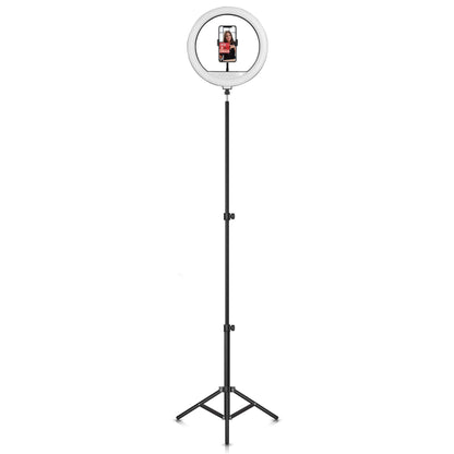 Supersonic PRO Live Stream 14” Floor Ring Light with RGB (SC-2430RGB) Jupiter Gear Home