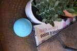 Maji Sports Trigger Point Single Massage Ball Jupiter Gear Home