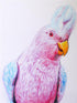 a0a35029714a997756806f19d1c928f3