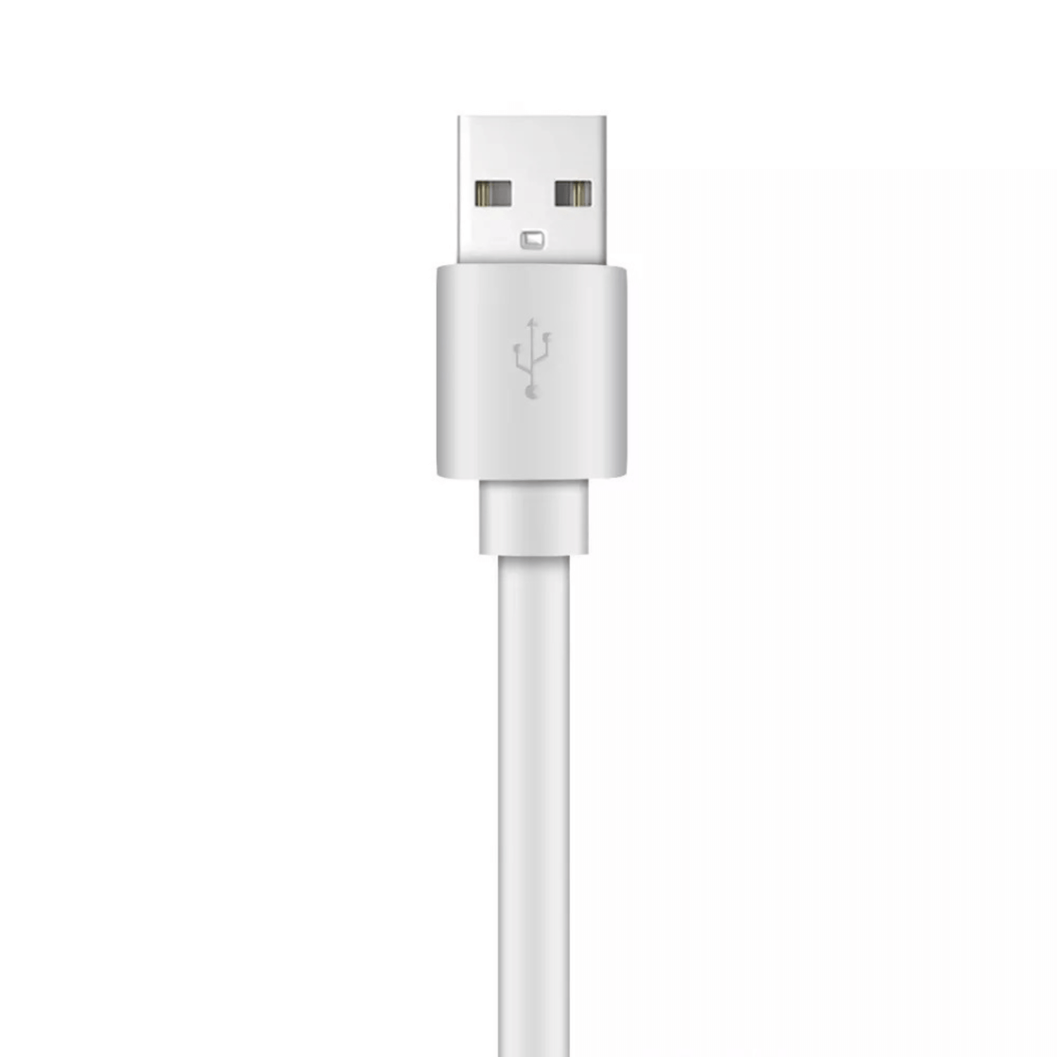 Xyst Charge and Sync USB to USB-C Flat Cable 4Ft Jupiter Gear Home