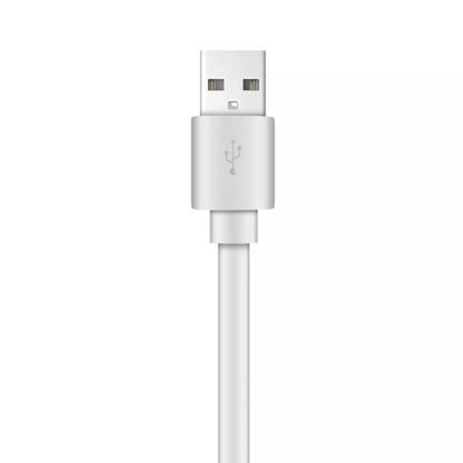 Xyst Charge and Sync USB to USB-C Flat Cable 4Ft Jupiter Gear Home