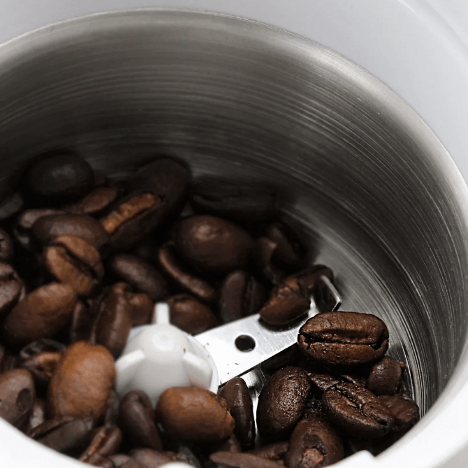 Better Chef 150W Power Blade Coffee Grinder Jupiter Gear Home