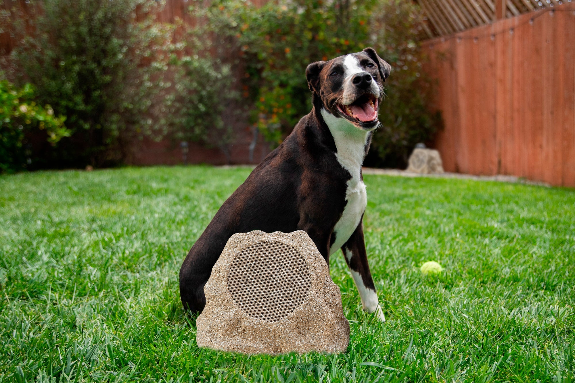 SoundPro Dual Bluetooth Outdoor Weatherproof Rock Landscape Speakers Jupiter Gear Home