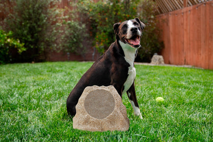 SoundPro Dual Bluetooth Outdoor Weatherproof Rock Landscape Speakers Jupiter Gear Home