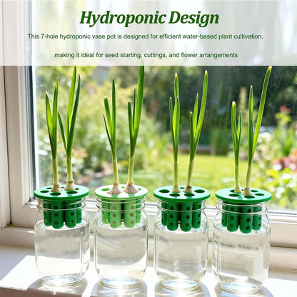 Hydroponic Vegetables Seed Planters Plant Garlic &amp; Green Onion/Outdoor Nursery Pot  Gardening Flowers Plant Tray Growing Tool Taj Home Store