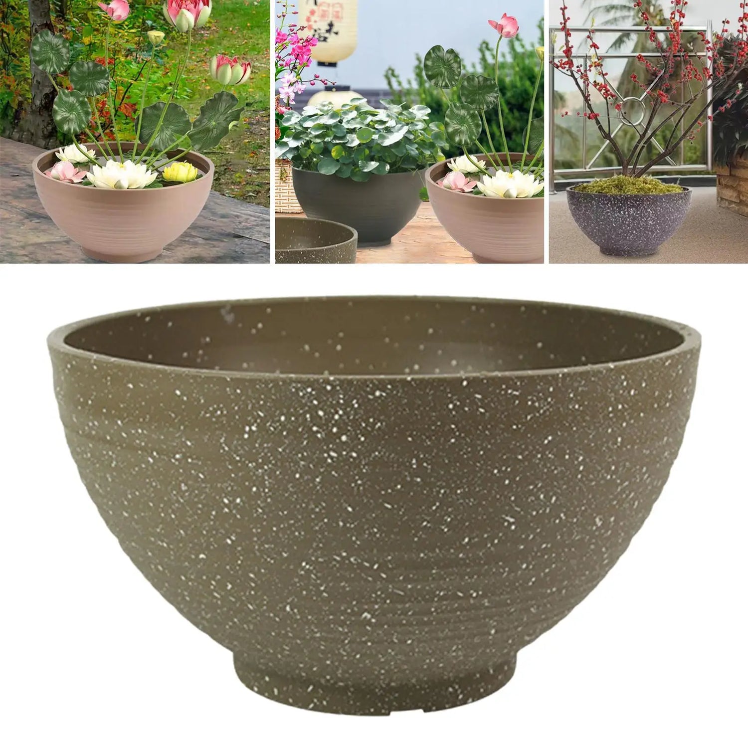 Garden Bowl Planter Water Plant Pot Multipurpose Practical Gift Ornament Taj Home Store