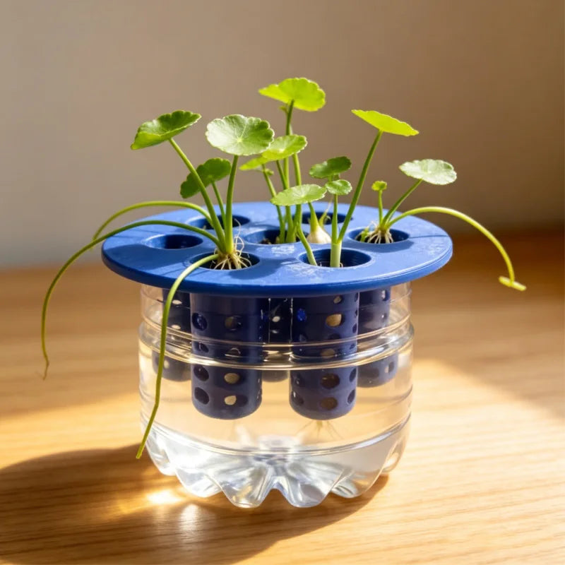 Hydroponic Vegetables Seed Planters Plant Garlic &amp; Green Onion/Outdoor Nursery Pot  Gardening Flowers Plant Tray Growing Tool Taj Home Store