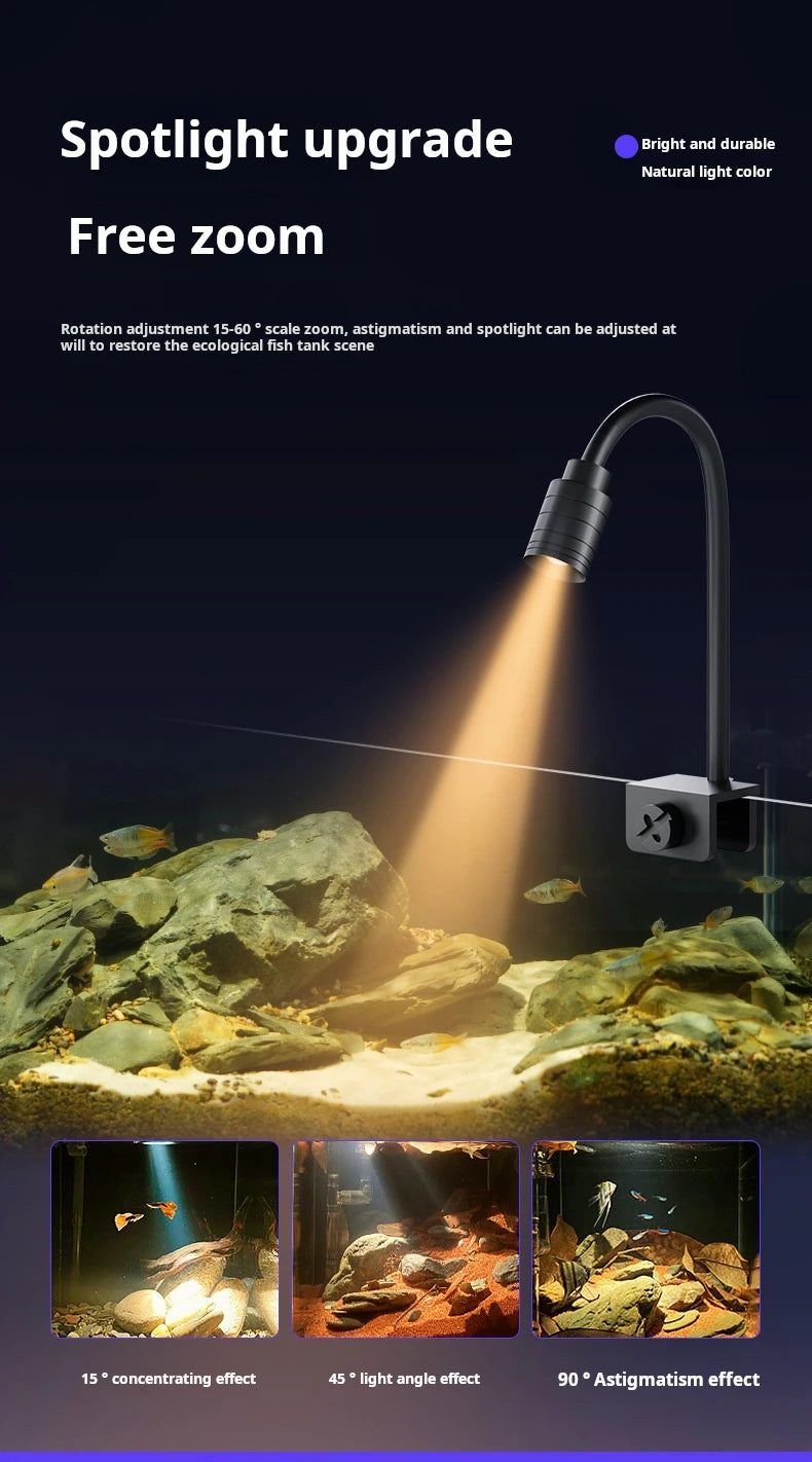 Rectangular 220V aquarium made of eco-friendly acrylic and glass, suitable for aquatic use