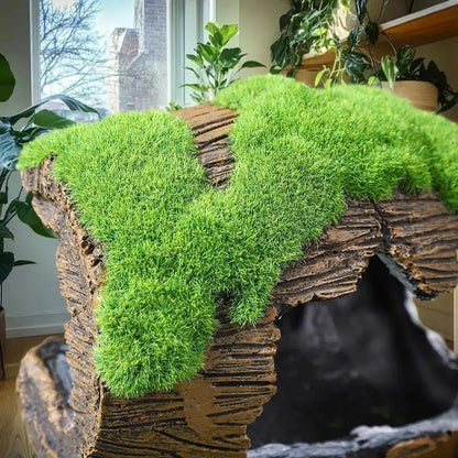 Aquarium  Decoration Fish  Shelter Fish Tank Resin  Ornaments Fish And  Hiding Cave Aquarium Landscaping Taj Home Store