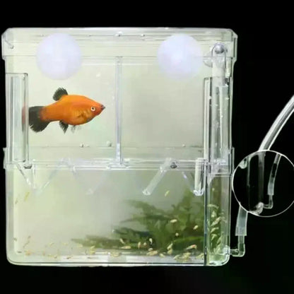 Acrylic isolation box, fish tank incubator, aquaculture box, aquarium supplies, peacock fish aquaculture box, aquarium Taj Home Store
