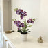 Vine Woven Stone Pot Simulation 21 Butterfly Orchid Potted Plants Feel Film Fake Flowers Office Decoration Ornaments Taj Home Store