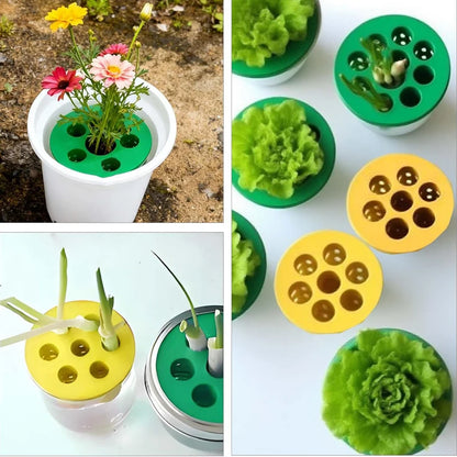 Hydroponic Vegetables Seed Planters Plant Garlic &amp; Green Onion/Outdoor Nursery Pot  Gardening Flowers Plant Tray Growing Tool Taj Home Store