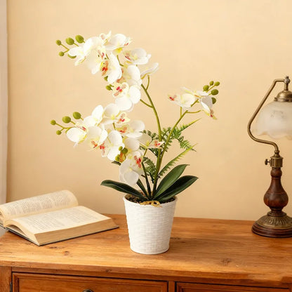 Vine Woven Stone Pot Simulation 21 Butterfly Orchid Potted Plants Feel Film Fake Flowers Office Decoration Ornaments Taj Home Store