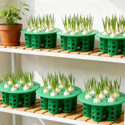 Hydroponic Vegetables Seed Planters Plant Garlic &amp; Green Onion/Outdoor Nursery Pot  Gardening Flowers Plant Tray Growing Tool Taj Home Store