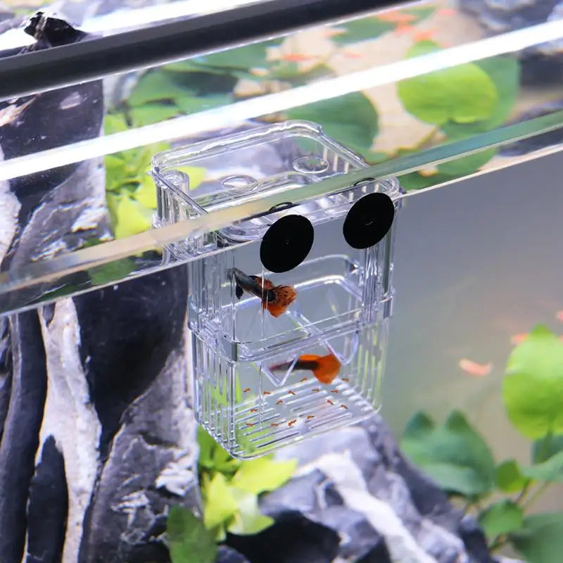 Acrylic isolation box, fish tank incubator, aquaculture box, aquarium supplies, peacock fish aquaculture box, aquarium Taj Home Store