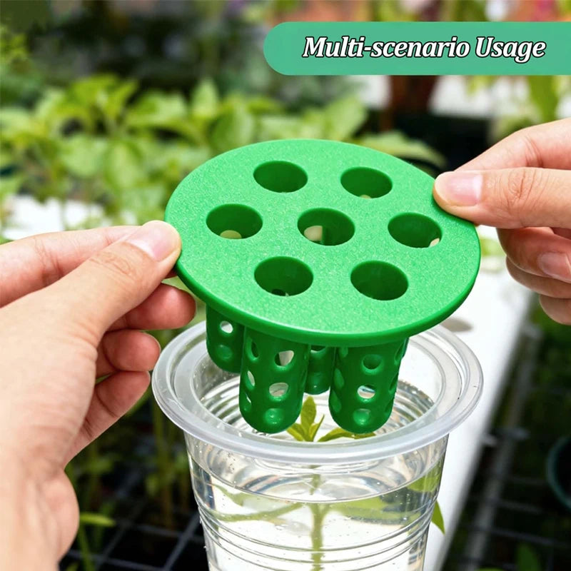 Hydroponic Vegetables Seed Planters Plant Garlic &amp; Green Onion/Outdoor Nursery Pot  Gardening Flowers Plant Tray Growing Tool Taj Home Store