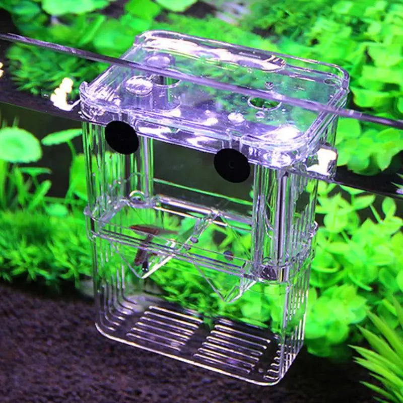 Acrylic isolation box, fish tank incubator, aquaculture box, aquarium supplies, peacock fish aquaculture box, aquarium Taj Home Store