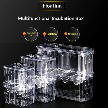 Acrylic isolation box, fish tank incubator, aquaculture box, aquarium supplies, peacock fish aquaculture box, aquarium Taj Home Store