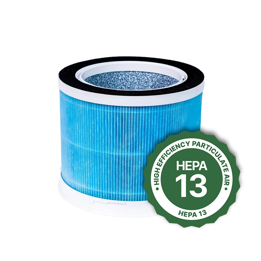 Air Sentry Replacement Filters Emerge Survival