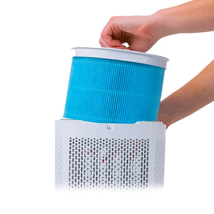 Air Sentry 300 Emerge Survival
