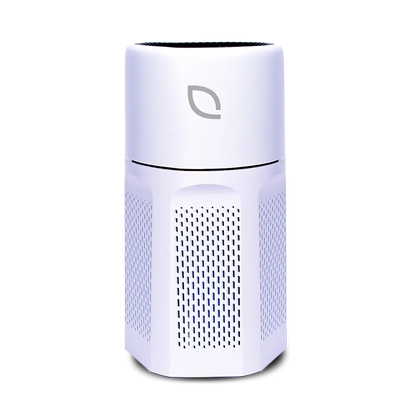 Air Sentry 500 Emerge Survival