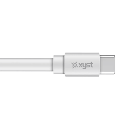 Xyst Flat USB-C to USB-C Charge and Sync Cable 4Ft Jupiter Gear Home