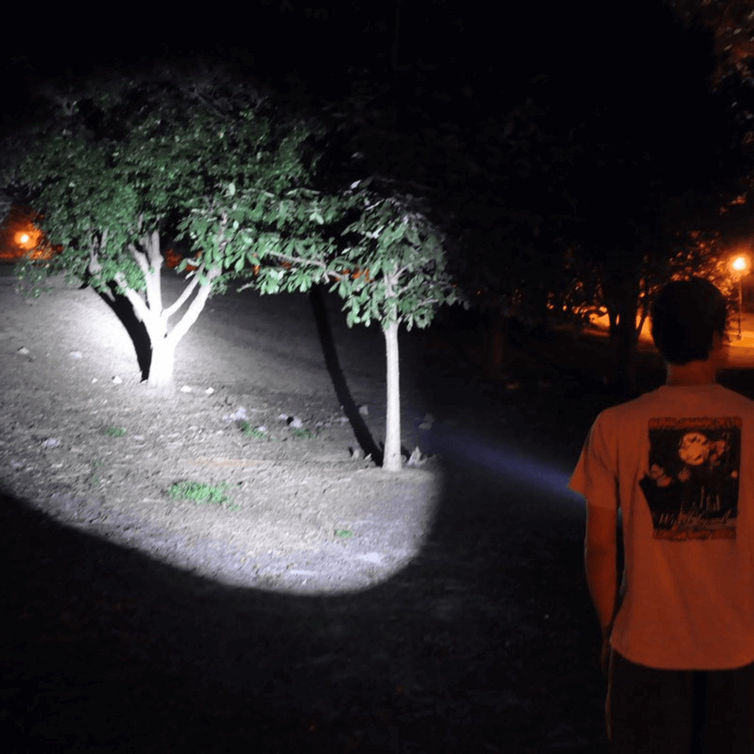 Solaray ZX-1 AAA Battery LED Flashlight 2-Pack Jupiter Gear Home