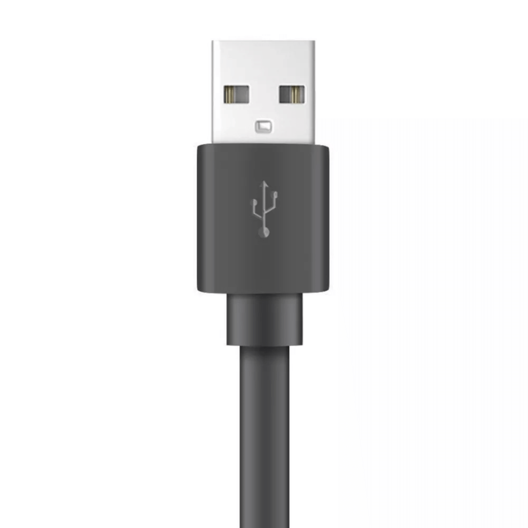 Xyst Charge and Sync USB to Lightning Flat Cable 4Ft Jupiter Gear Home