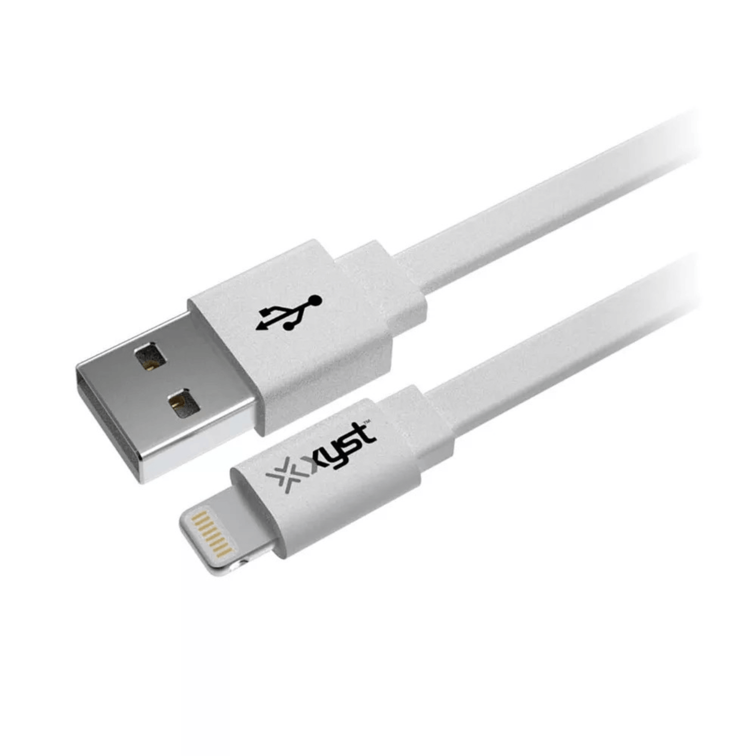Xyst 2.4-Amp Dual USB Wall Charger With 4Ft Lightning Cable Jupiter Gear Home