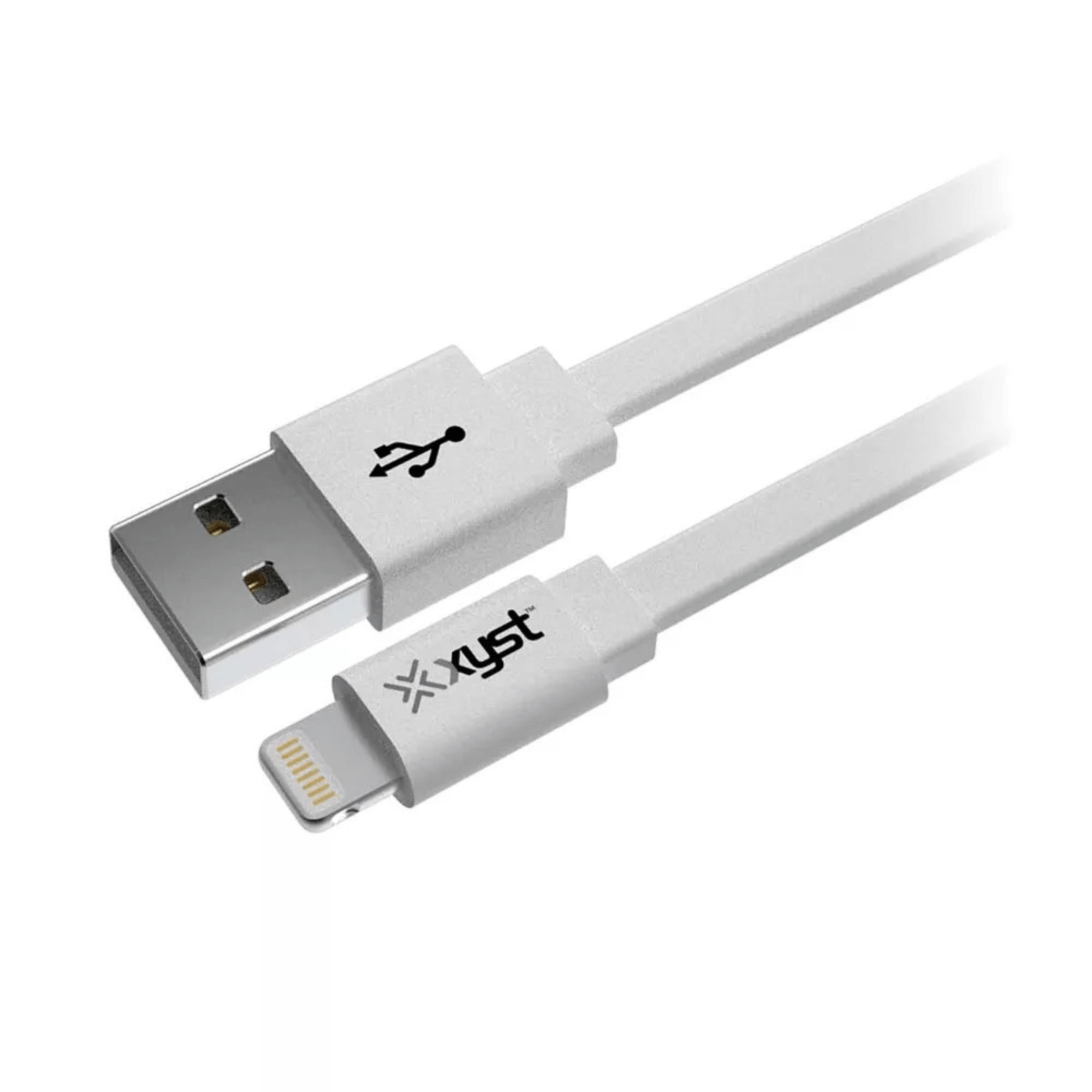Xyst 2.4-Amp Dual USB Wall Charger With 4Ft Lightning Cable Jupiter Gear Home