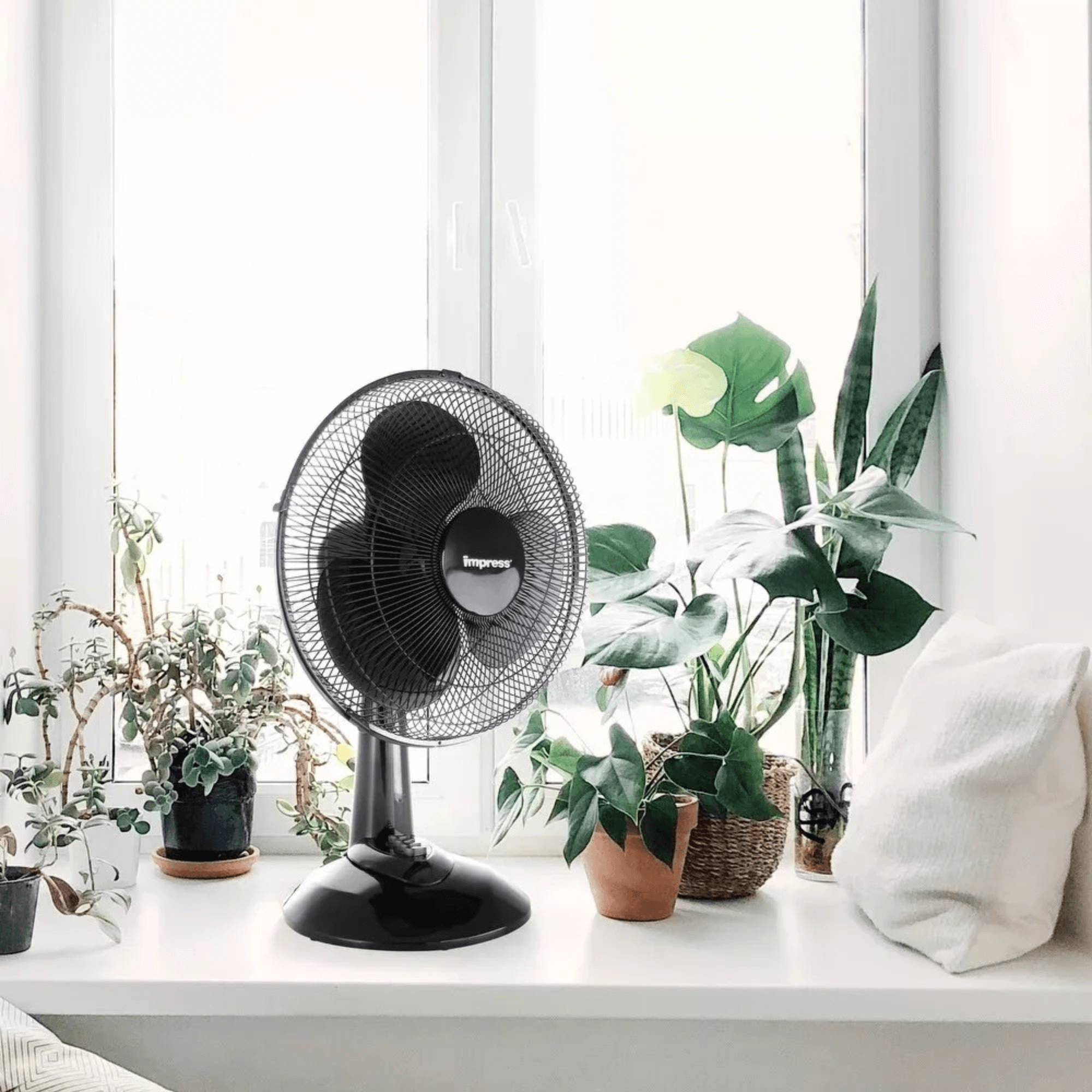 Impress 12-Inch Oscillating Desk Fan Jupiter Gear Home