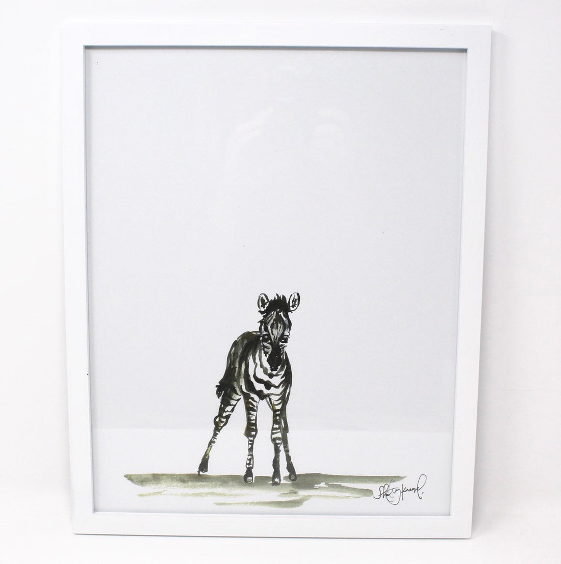 Baby Zebra Art Print- 11x14, Animal Art, Safari Animals, Home Decor, Nursery Wall Art DC-Shelby Kregel Art and Design