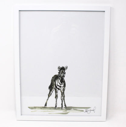 Baby Zebra Art Print- 11x14, Animal Art, Safari Animals, Home Decor, Nursery Wall Art DC-Shelby Kregel Art and Design