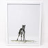 Baby Zebra Art Print- 11x14, Animal Art, Safari Animals, Home Decor, Nursery Wall Art DC-Shelby Kregel Art and Design