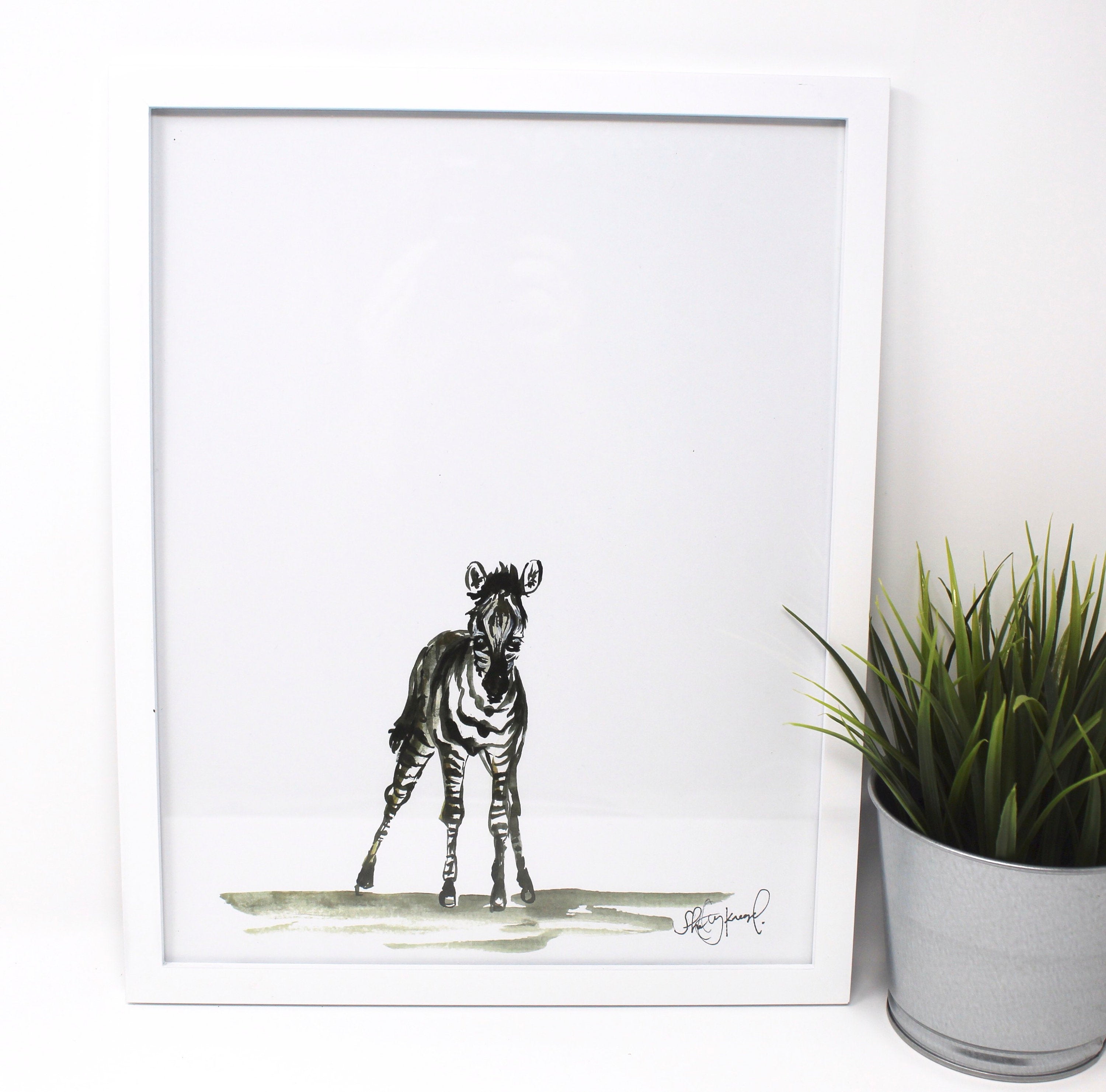 Baby Zebra Art Print- 11x14, Animal Art, Safari Animals, Home Decor, Nursery Wall Art DC-Shelby Kregel Art and Design
