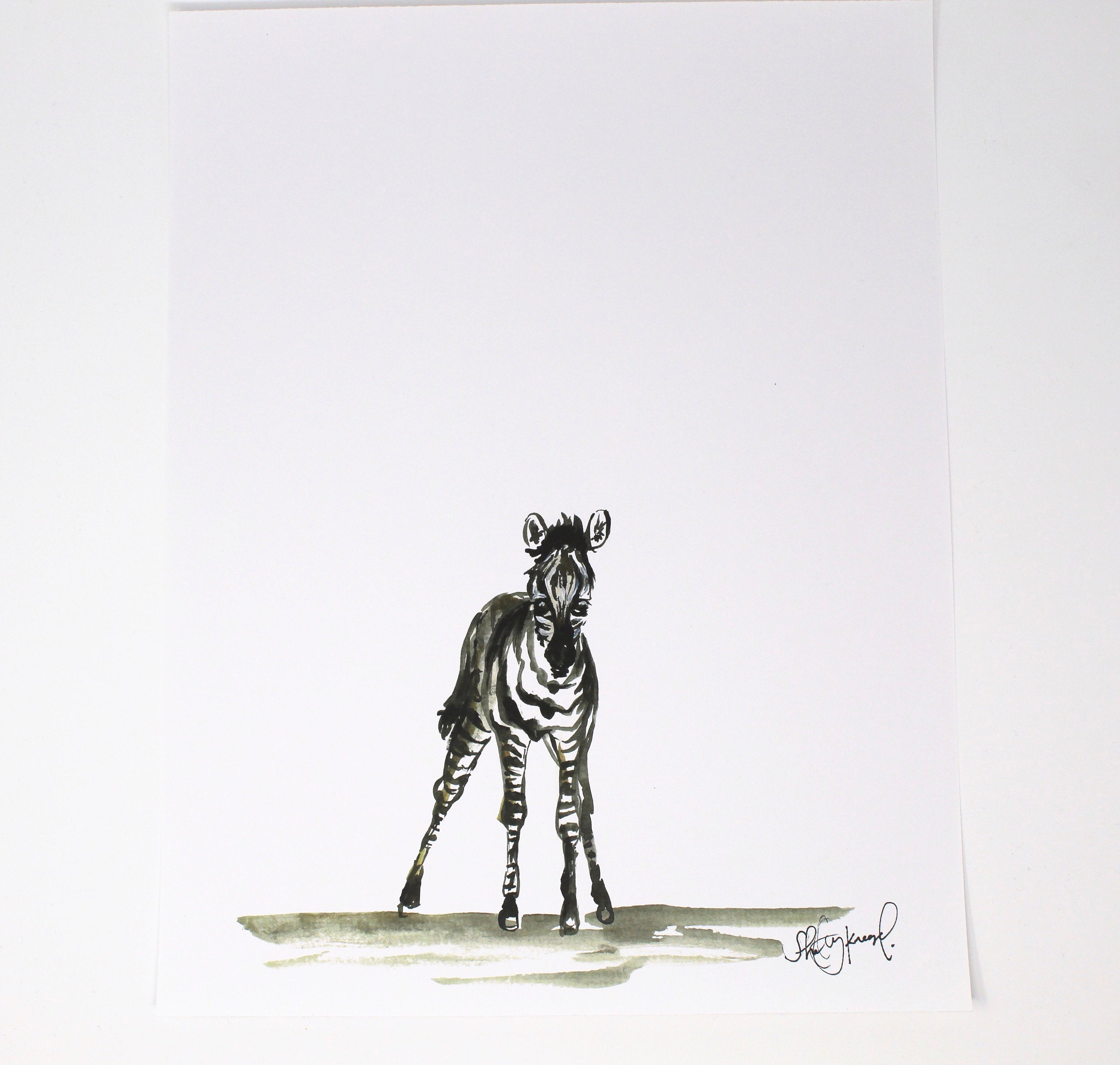 Baby Zebra Art Print- 11x14, Animal Art, Safari Animals, Home Decor, Nursery Wall Art DC-Shelby Kregel Art and Design
